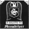 A SALUTE TO SKREWDRIVER CD - Image 2